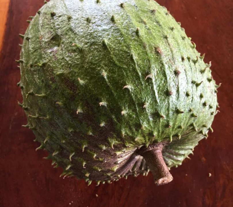 Photo of Others in Cape Tribulation