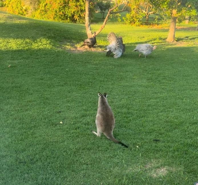 Photo of Others in Kinchela