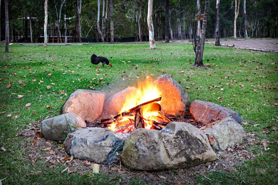Photo of Others in Woodwark