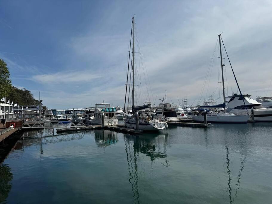 Photo of Others in Shoal Bay