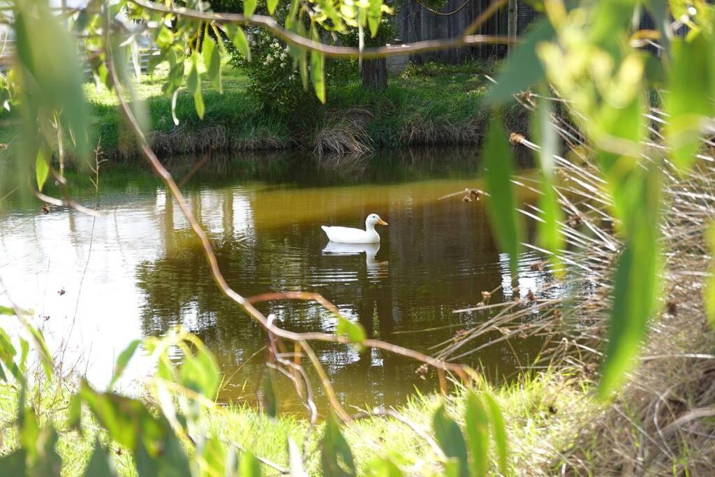Photo of Others in Dunalley