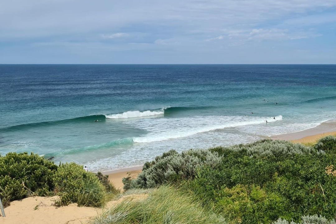 Photo of Others in Wattle Bank
