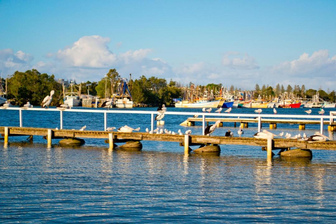 Photo of Others in Yamba