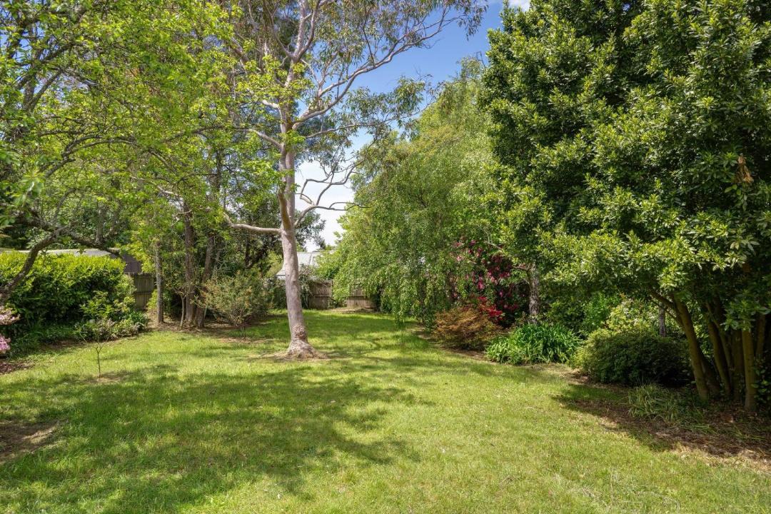 Photo of Others in Wentworth Falls