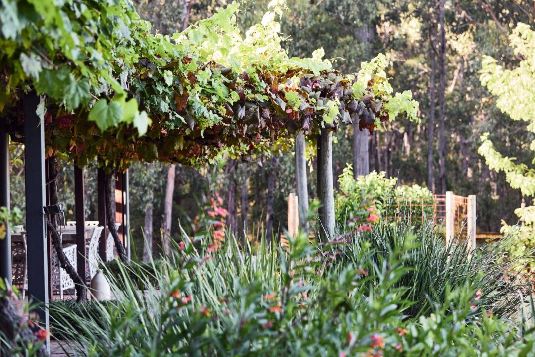 Photo of Others in Healesville