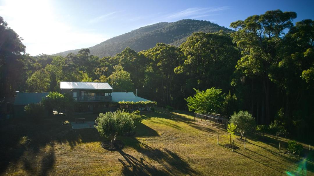 Photo of Others in Healesville
