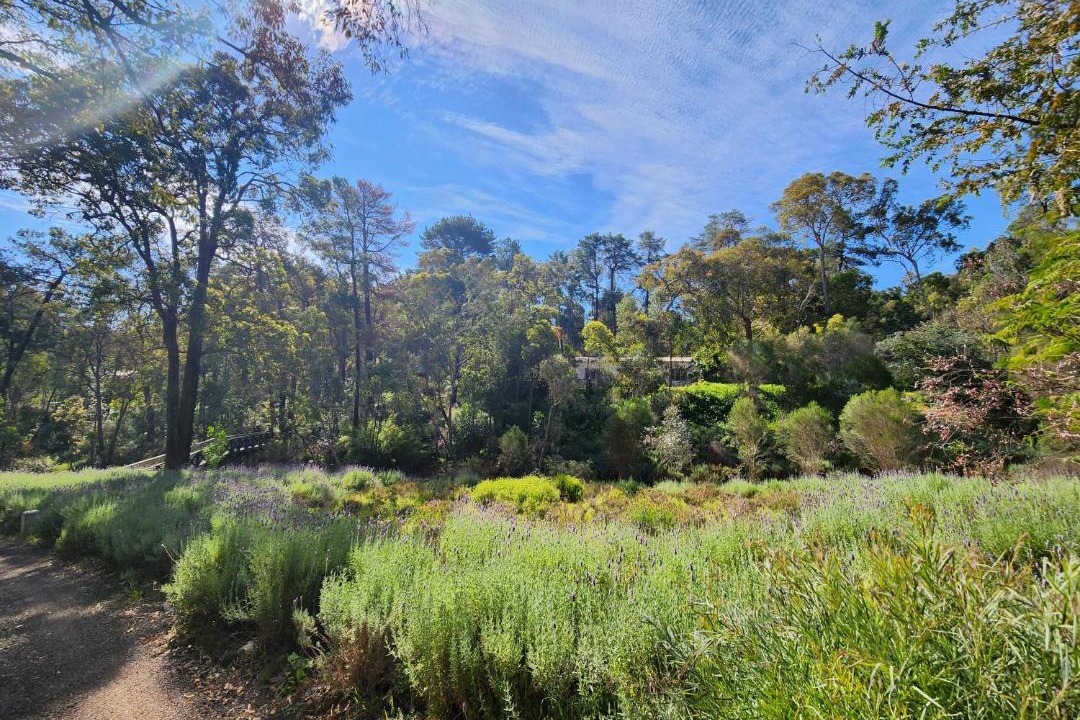 Photo of Others in Mundaring