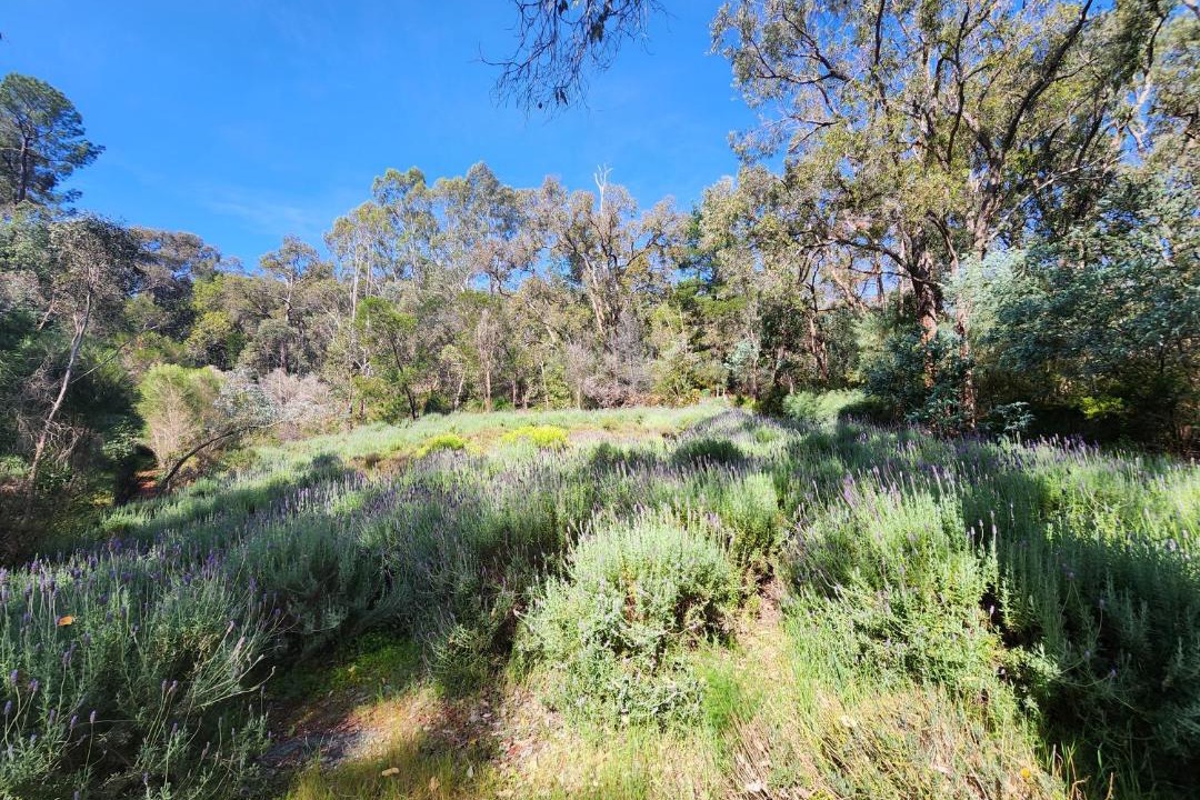 Photo of Others in Mundaring