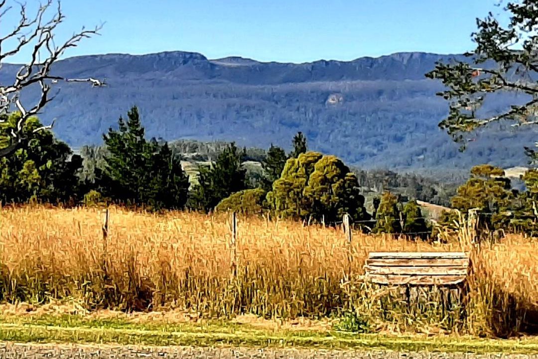 Photo of Others in Mole Creek