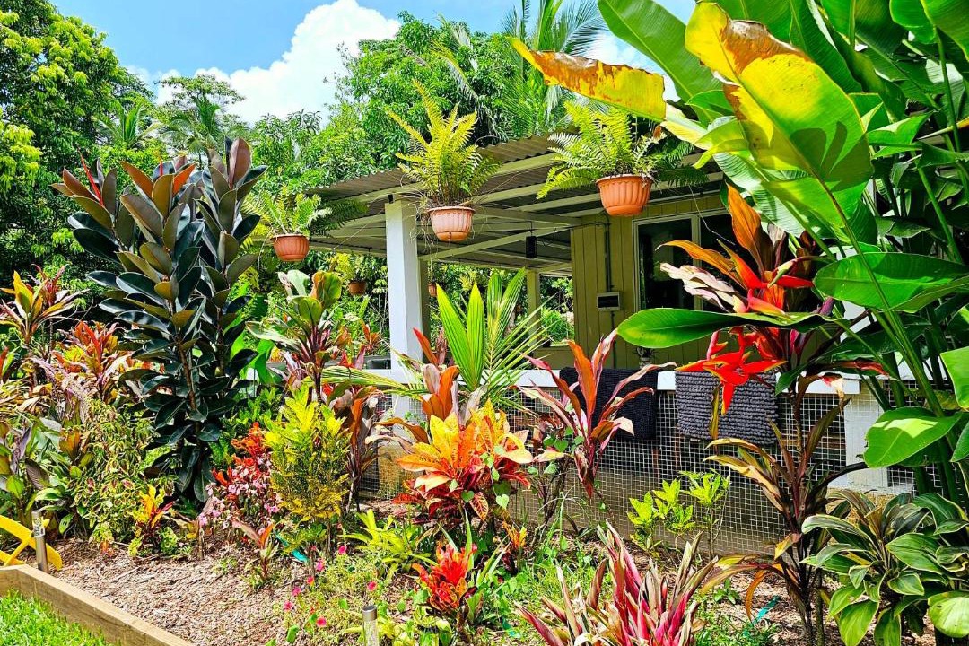 Photo of Others in Cape Tribulation