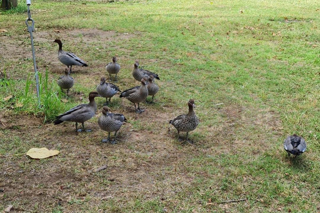 Photo of Others in Rainbow Flat
