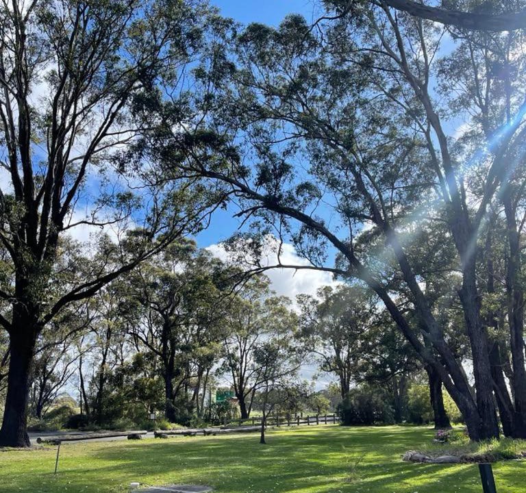 Photo of Others in Mount Barker
