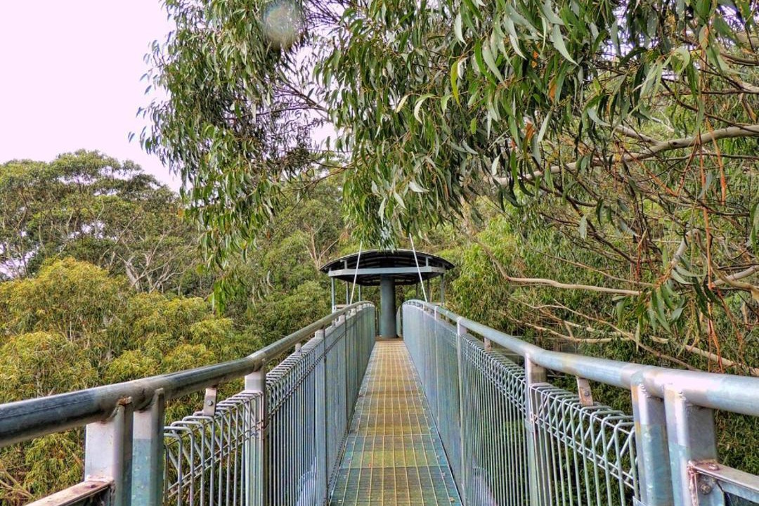 Photo of Others in Kiama