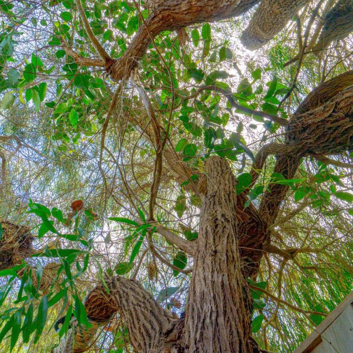 Photo of Others in Margaret River