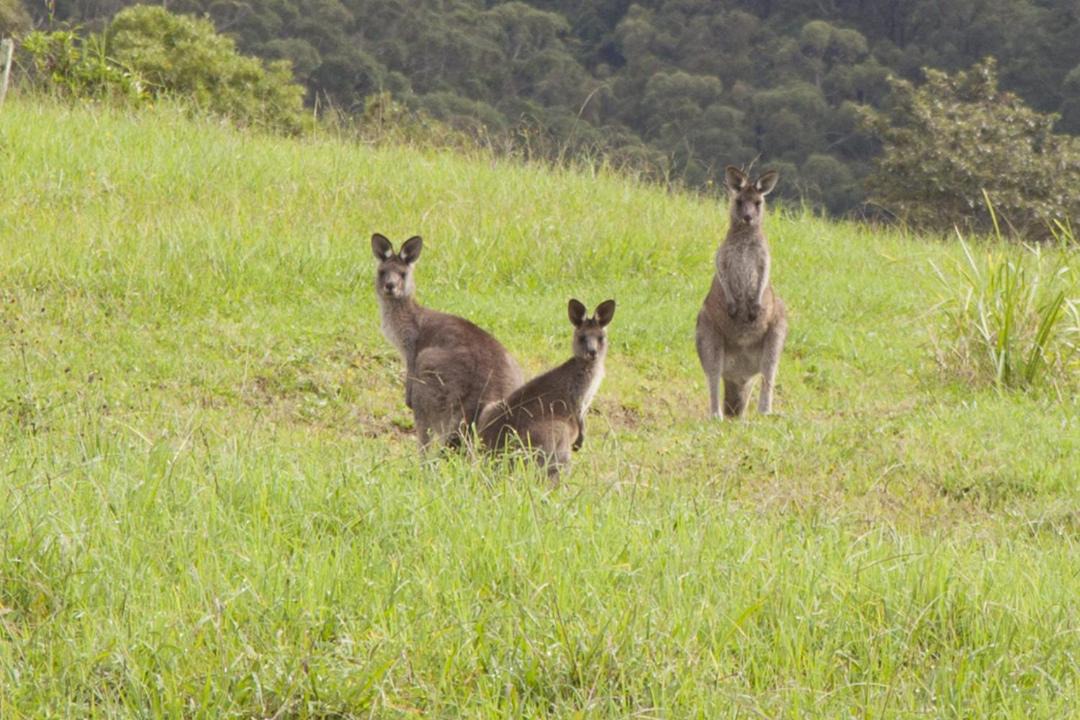 Photo of Others in Broughton Vale