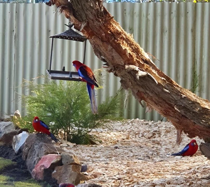 Photo of Others in Berrima