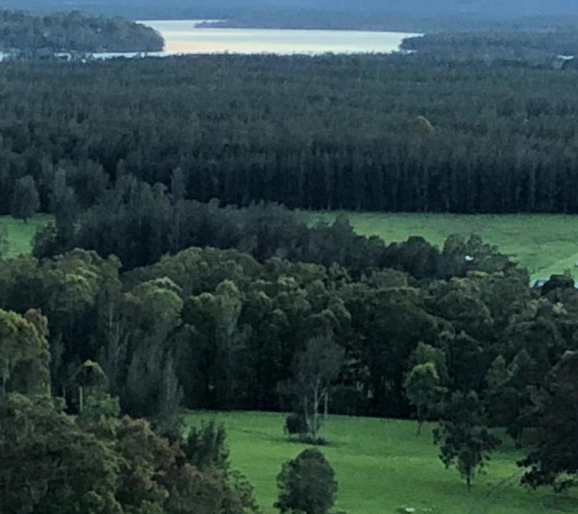 Photo of Others in Minimbah