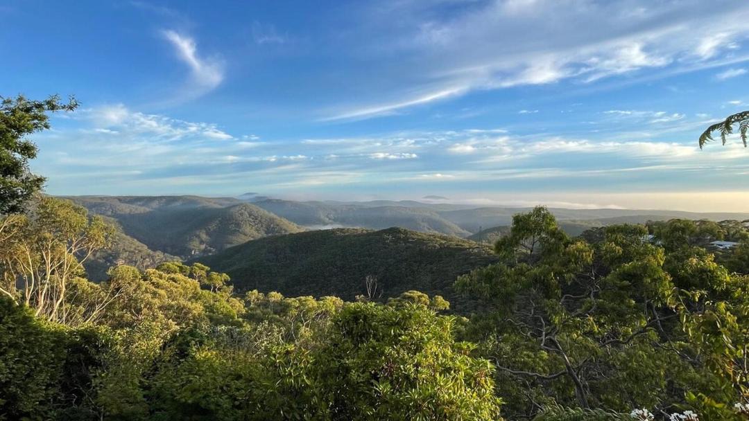 Photo of Others in Wentworth Falls