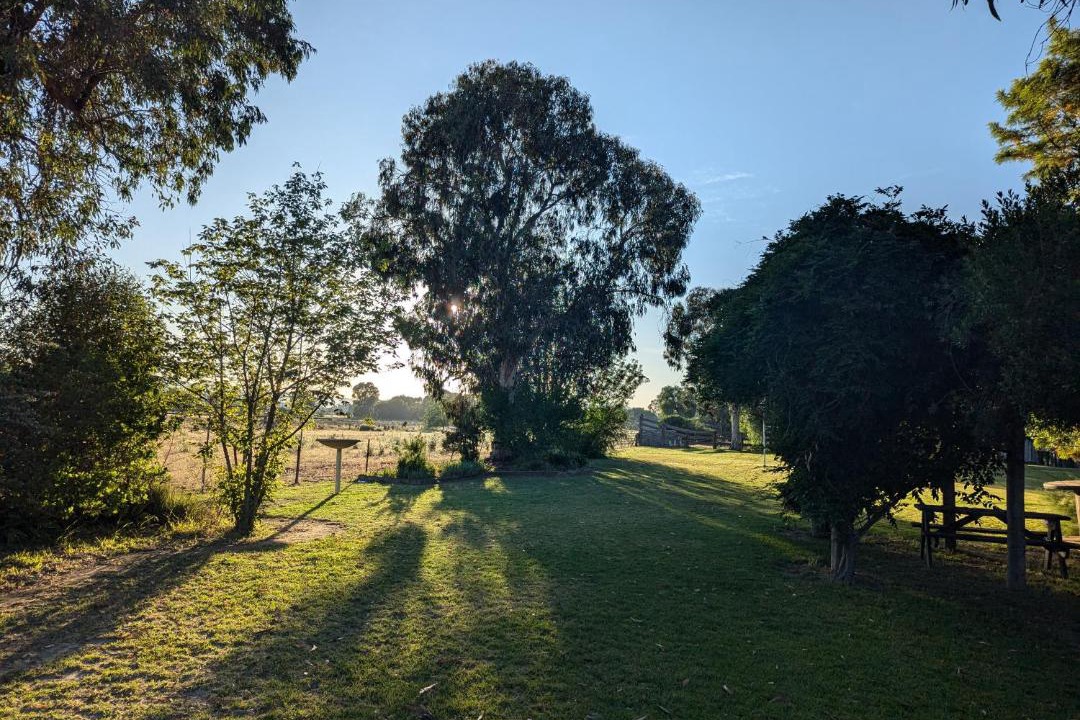 Photo of Others in Central Mudgee
