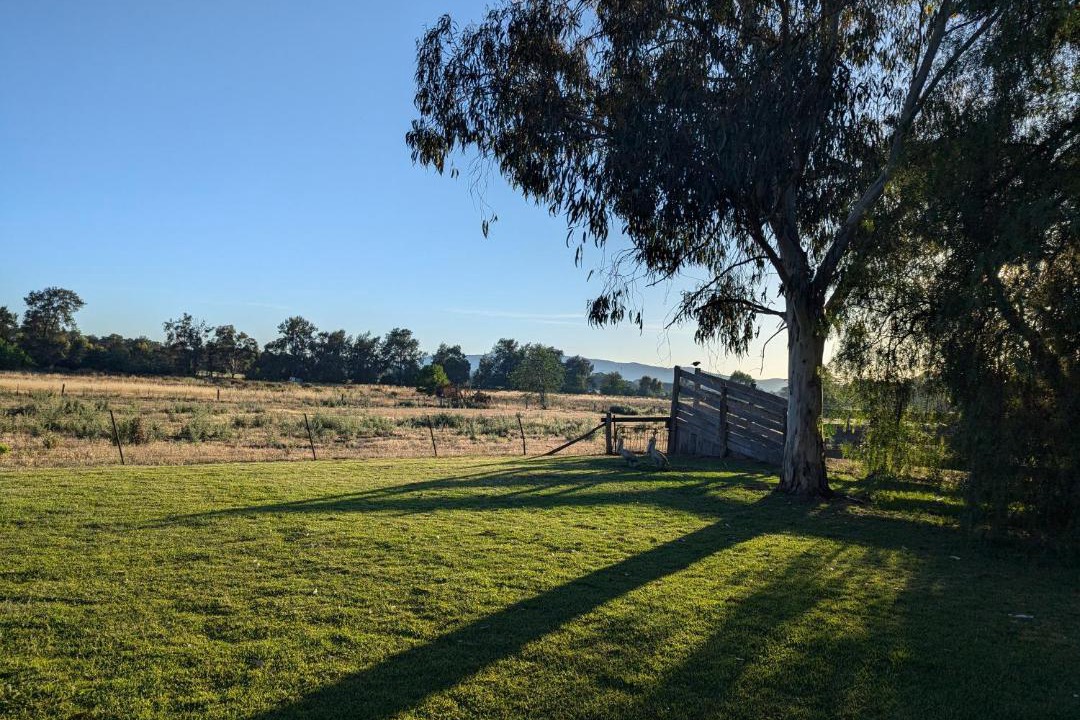Photo of Others in Central Mudgee