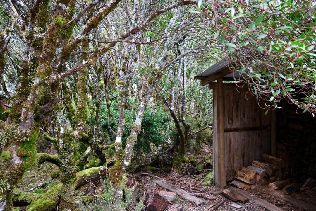 Photo of Others in Cradle Mountain