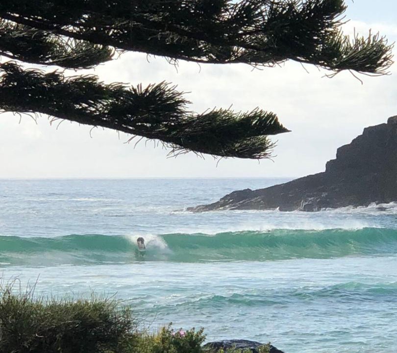 Photo of Others in Scotts Head