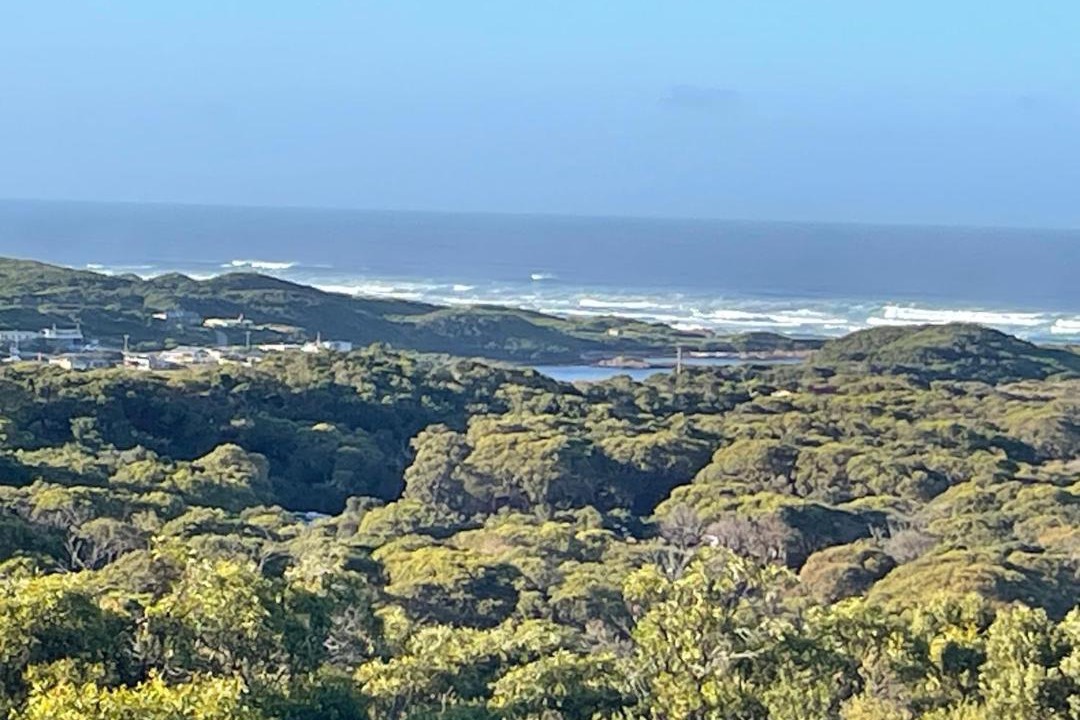 Photo of Others in Arthur River