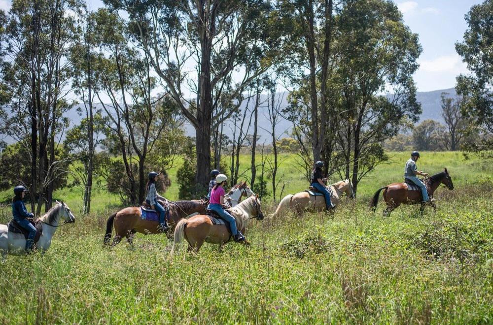 Photo of Others in Megalong Valley