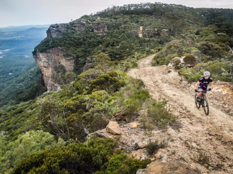 Photo of Others in Megalong Valley