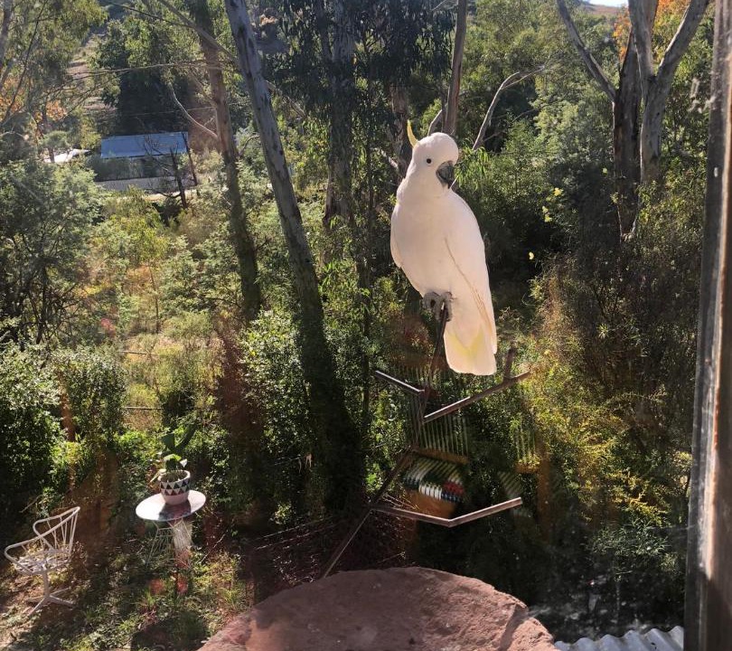 Photo of Others in Castlemaine