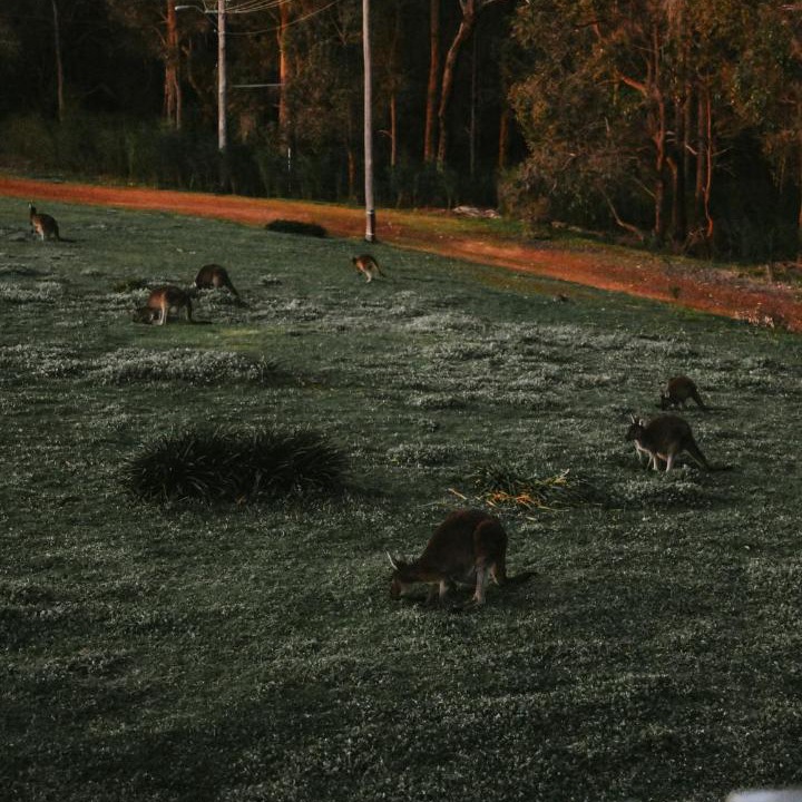 Photo of Others in Nyamup
