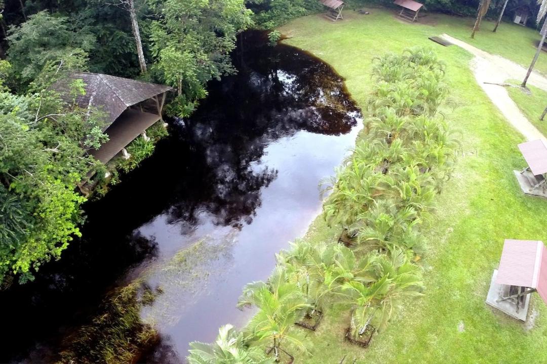 Photo of Others in Kourou