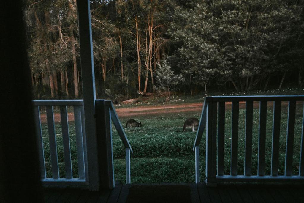 Photo of Others in Nyamup
