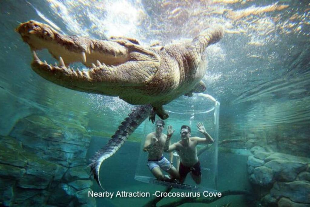 Photo of Others in Fannie Bay