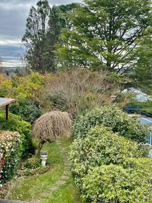Photo of Others in Moss Vale