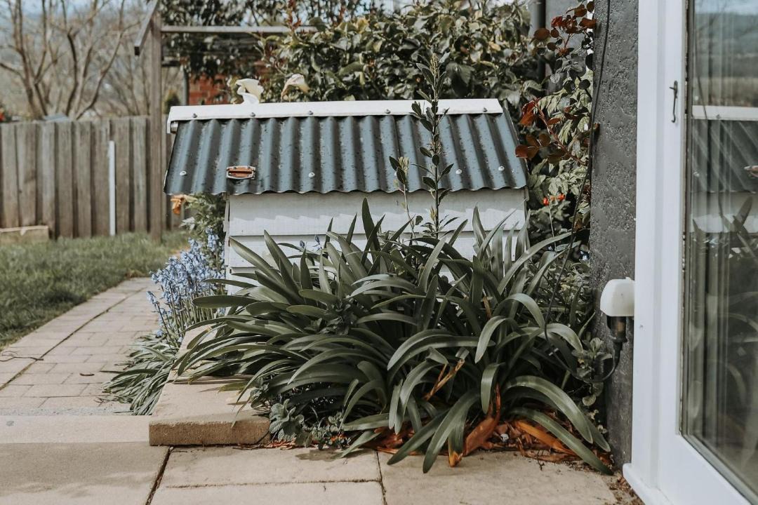 Photo of Others in East Launceston