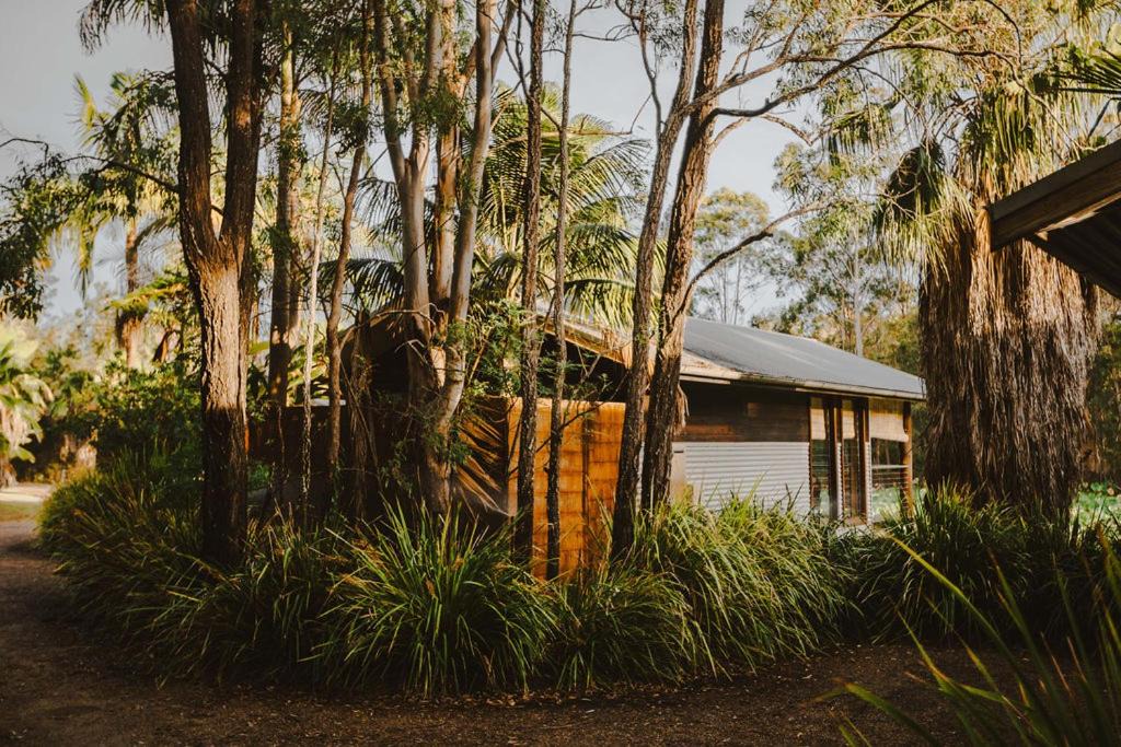 Photo of Others in Lovedale