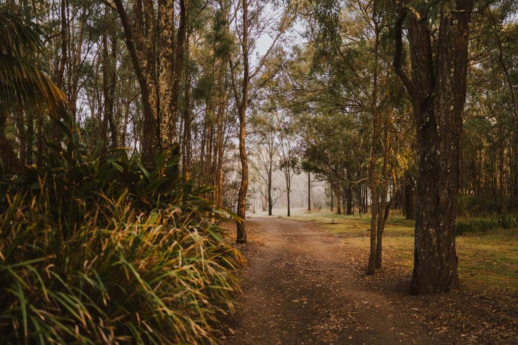 Photo of Others in Lovedale
