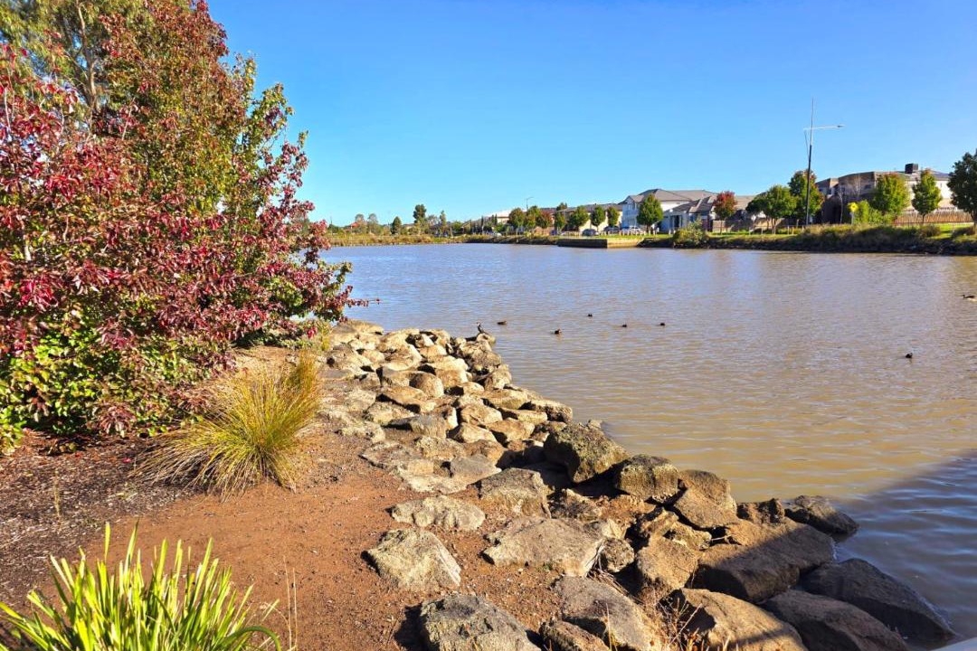Photo of Others in Williams Landing