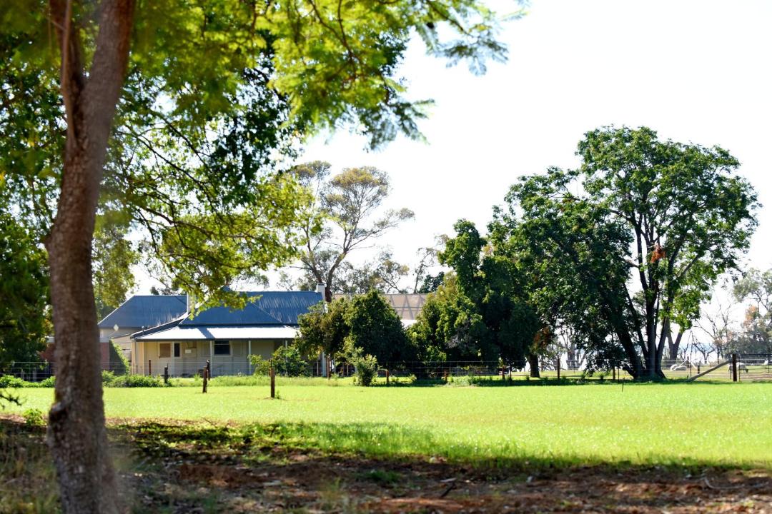 Photo of Others in Barmera