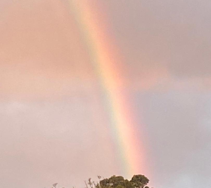 Photo of Others in Porongurup