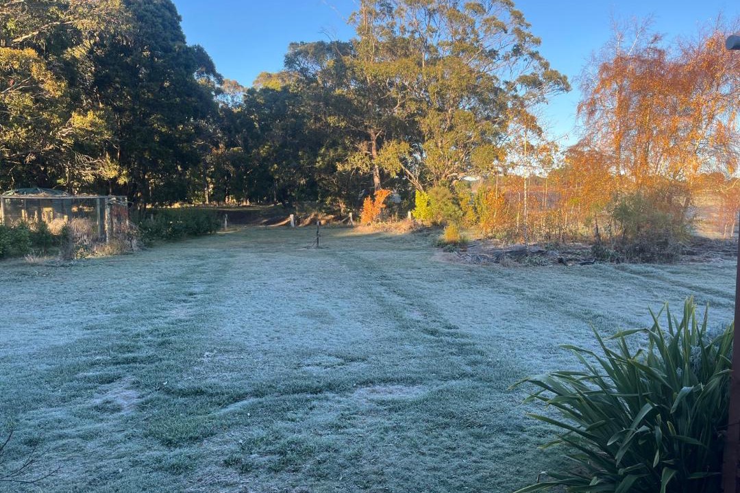 Photo of Others in Trentham East