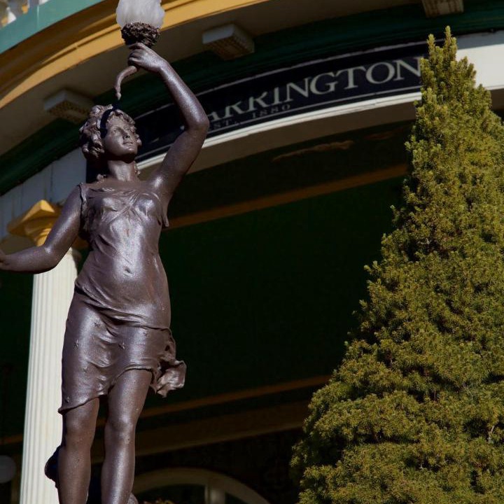 Photo of Others in Katoomba