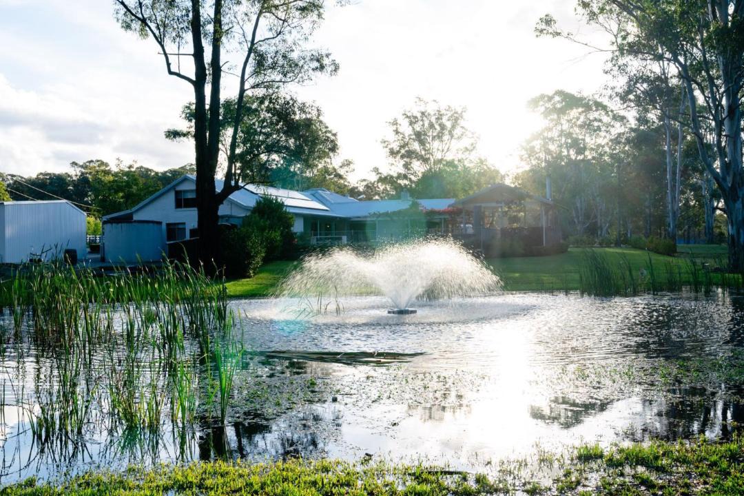 Photo of Others in Lovedale