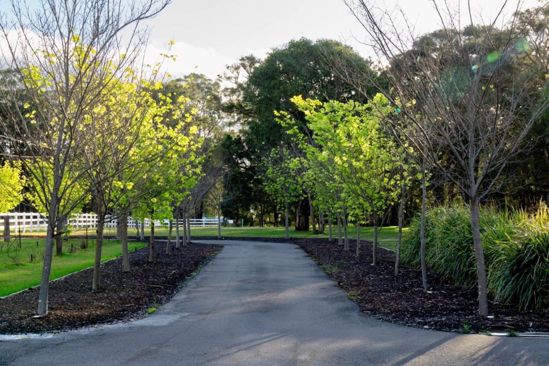 Photo of Others in Lovedale