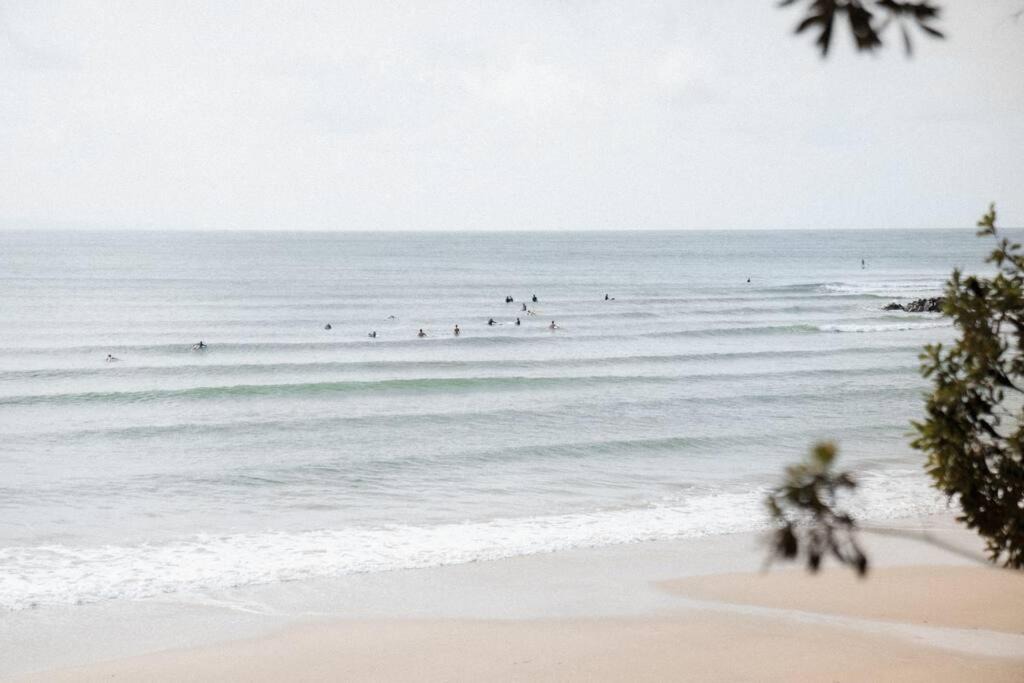 Photo of Others in Noosa Heads