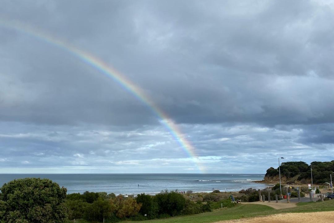 Photo of Others in Torquay