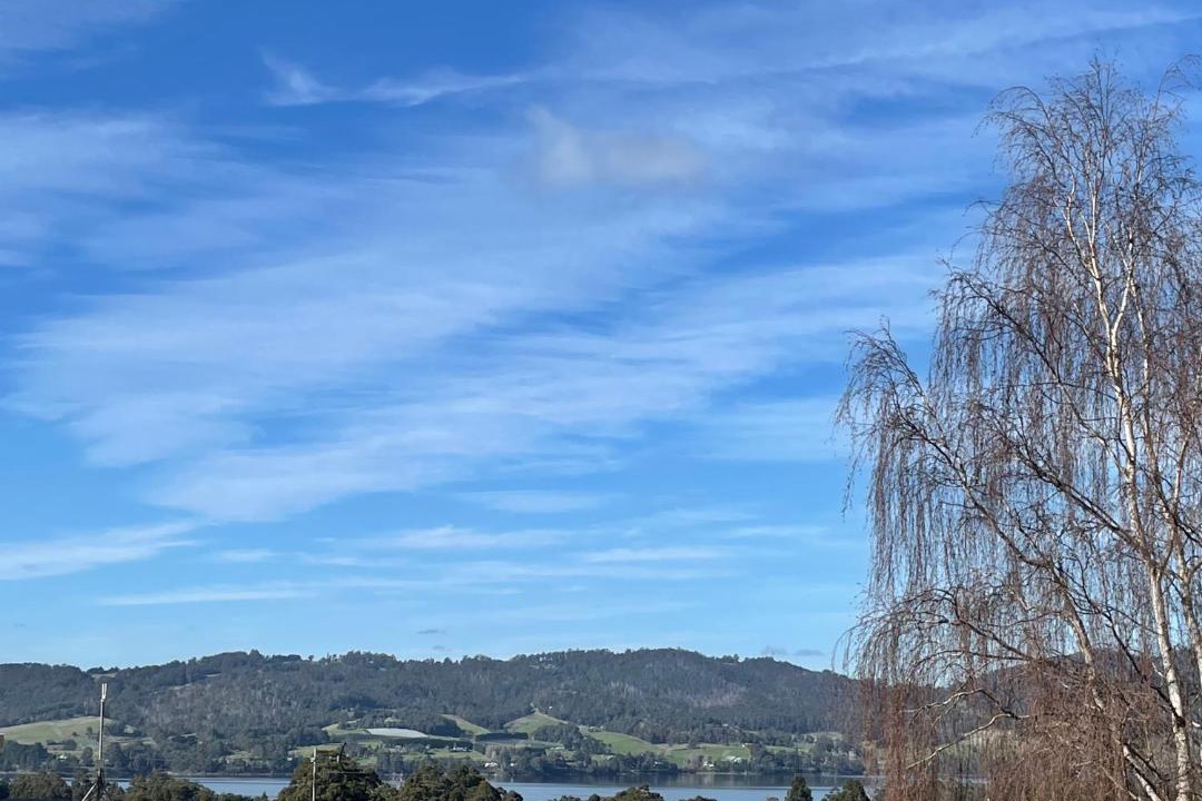 Photo of Others in Castle Forbes Bay