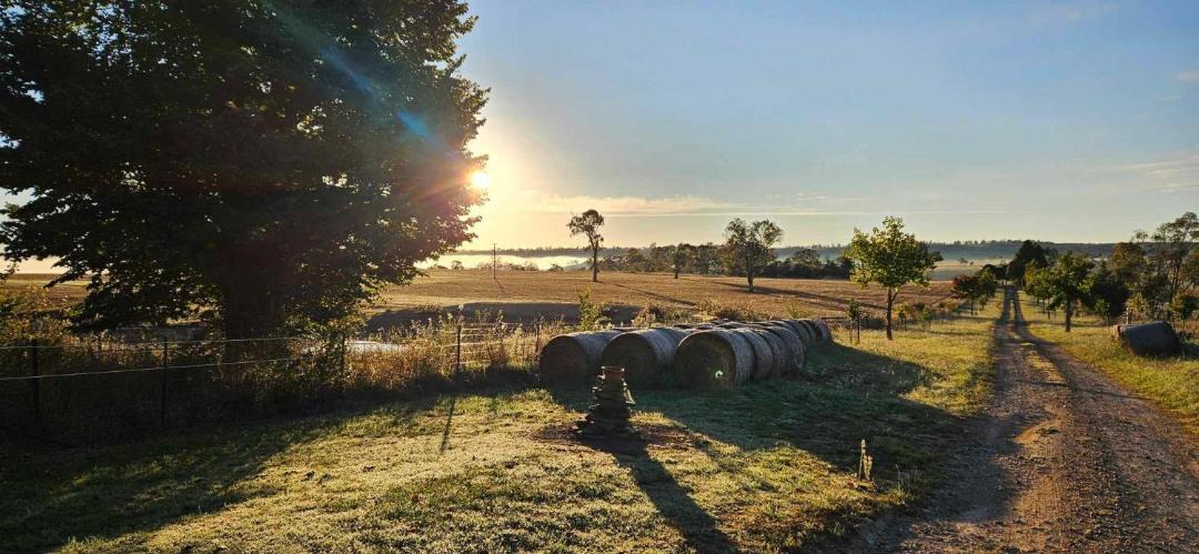 Photo of Others in Walcha