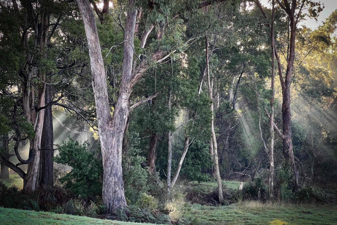 Photo of Others in Wynyard